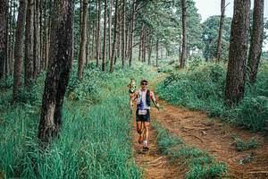 BIB: 
                            <button type="button" onclick="openModal(25656776)" class="btn btn-primary btn-sm float-right btn-popup" data-toggle="modal" data-target=".modal-high-quality">
                        <i class="fas fa-shopping-cart"></i> Add to Cart
                    </button>
                                            <button type="button" onclick="isThisMe(25656776, true)" class="btn btn-success btn-sm float-right btn-popup btn-isme hidden" data-toggle="tooltip" data-placement="bottom" title="นี่คือรูปของคุณใช่ไหม คลิกที่นี่เพื่อเอาเข้าอัลบั้ม">
                        <i class="fas fa-plus"></i> Add to album
                    </button>
                    <button type="button" onclick="isThisMe(25656776, false)" class="btn btn-warning btn-sm float-right btn-popup btn-isnotme hidden">
                        <i class="fas fa-ban"></i> Remove from album
                    </button>